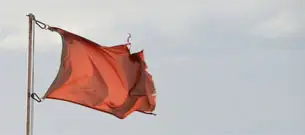 Røde flag på første date: De syv tegn, der kan hjælpe dig med at undgå hjertesorg i fremtiden Røde flag på første date: De syv tegn, der kan hjælpe dig med at undgå hjertesorg i fremtiden